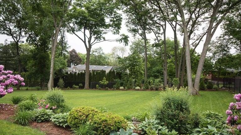 Professional landscaping team in Modesto