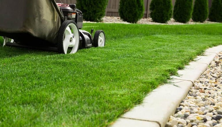 Professional lawn care services in Ceres CA
