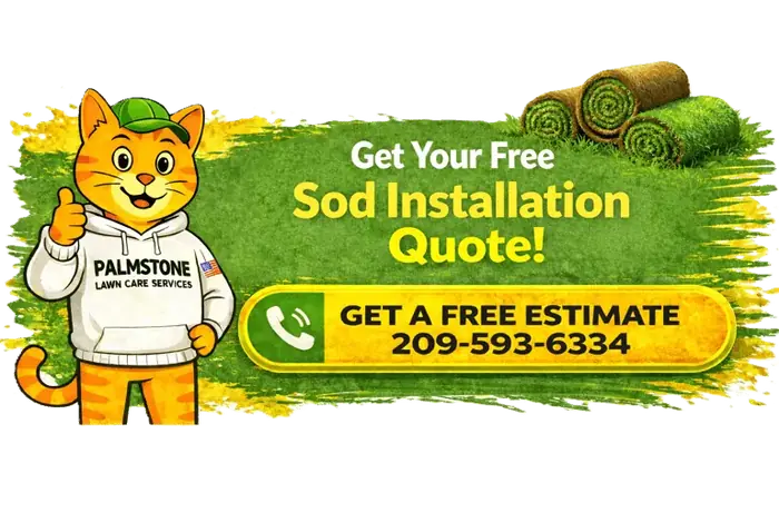 Get Your Free Sod Installation Quote - 209-593-6334