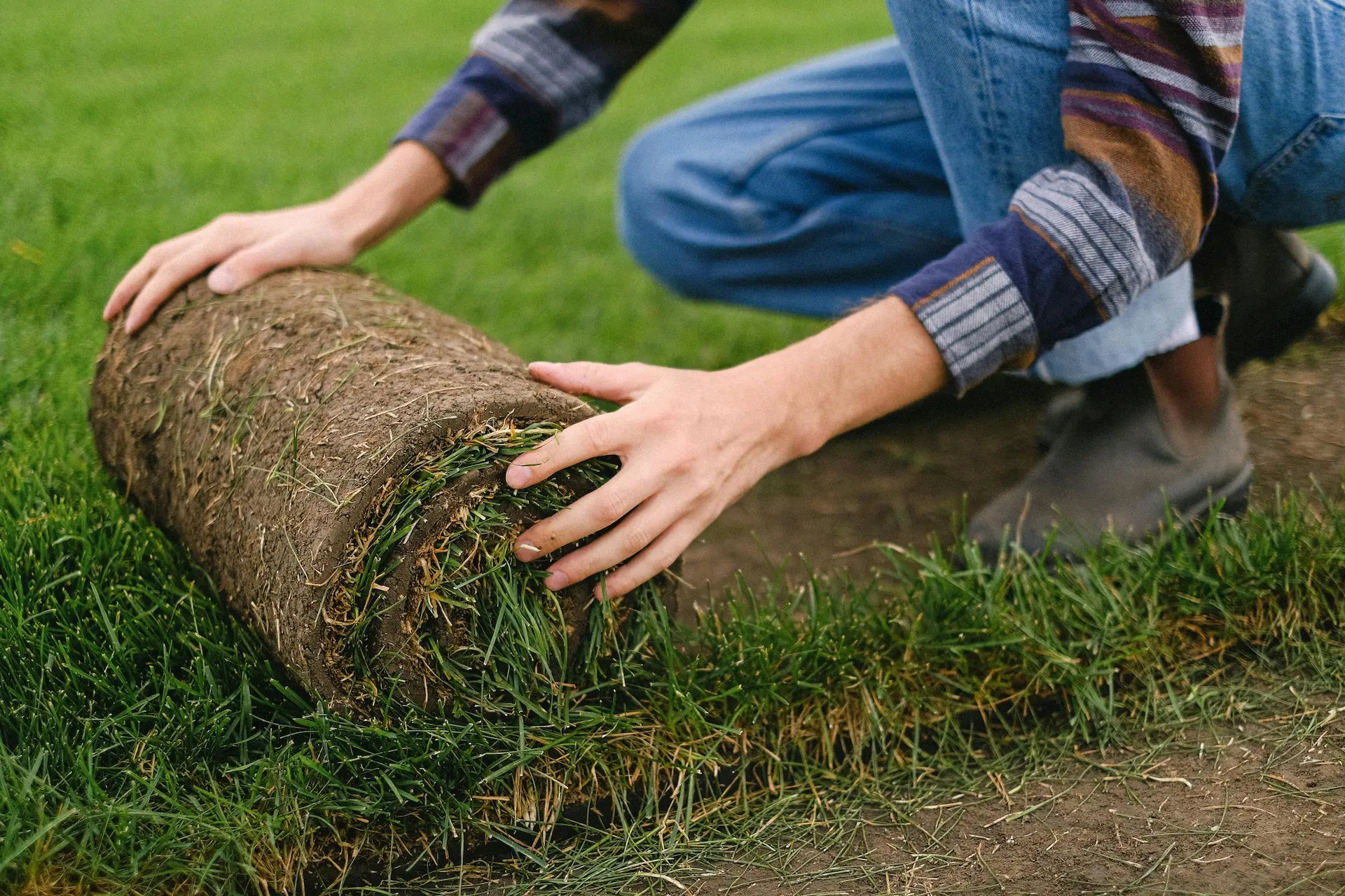 Sod installation in Turlock CA